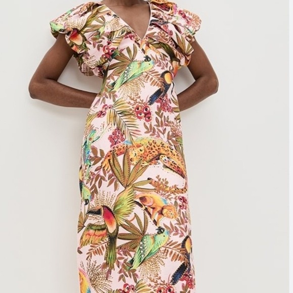 FARM Rio Dresses & Skirts - Farm Rio Maxi Dress Pink Tropical Bird Leopard Ruffle Sleeve V Neck M